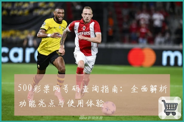 500彩票网号码查询指南:全面解析功能亮点与使用体验