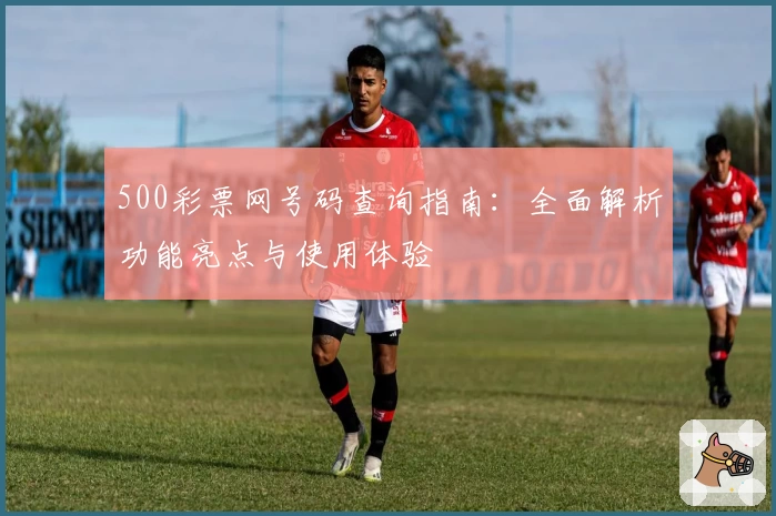 500彩票网号码查询指南：全面解析功能亮点与使用体验