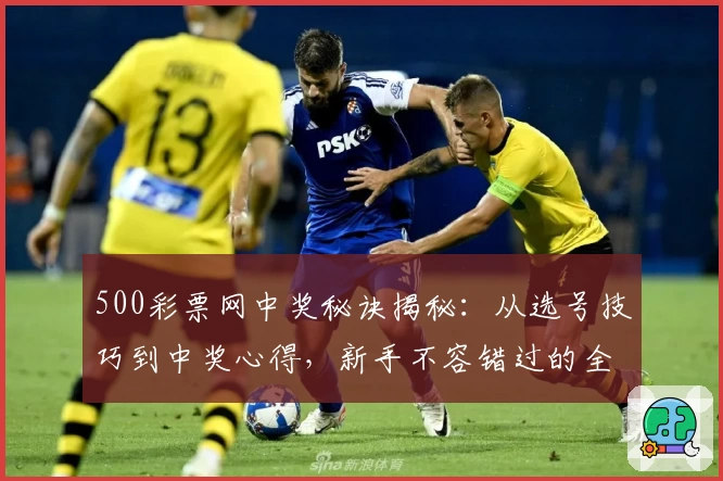 500彩票网中奖秘诀揭秘：从选号技巧到中奖心得，新手不容错过的全攻略