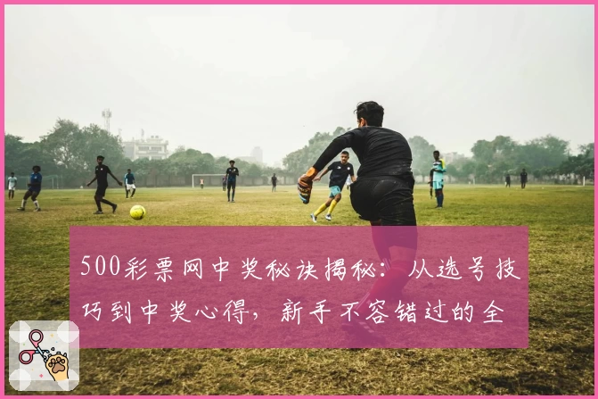 500彩票网中奖秘诀揭秘：从选号技巧到中奖心得，新手不容错过的全攻略